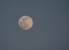IMG_0504c 