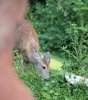 IMG_1281c 